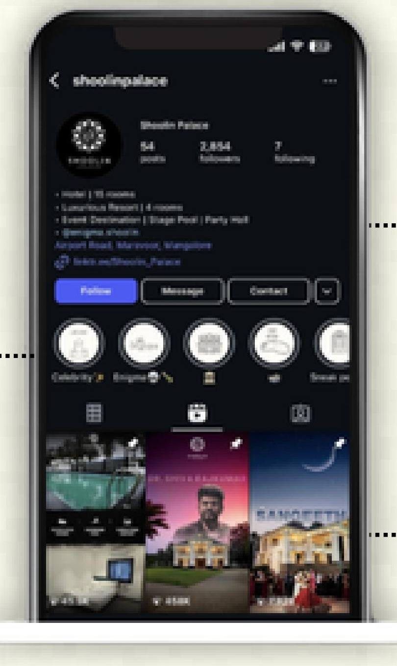 Shoolin Palace Instagram profile redesign